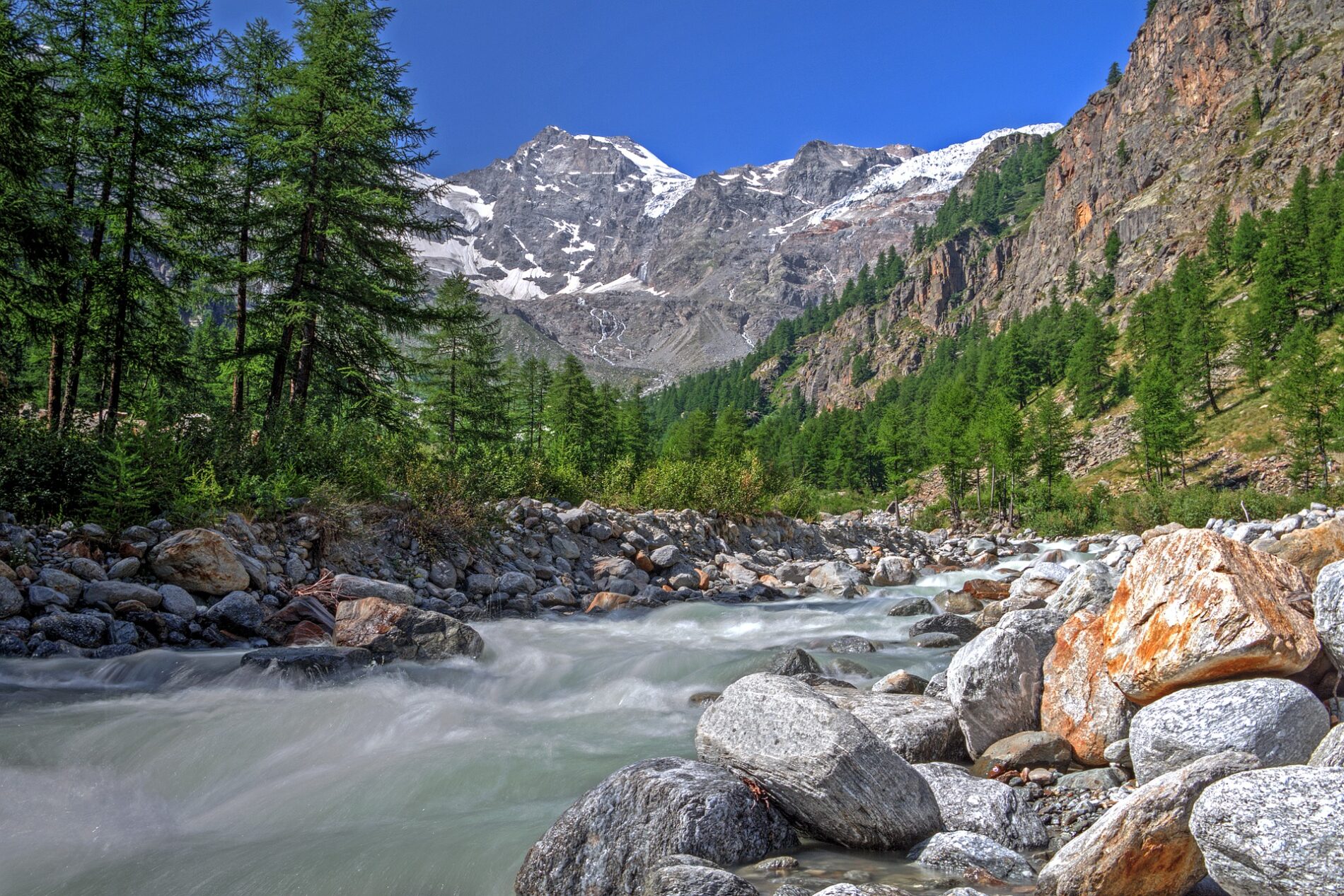 Centenario Del Parco Nazionale Del Gran Paradiso E Del Parco D Abruzzo