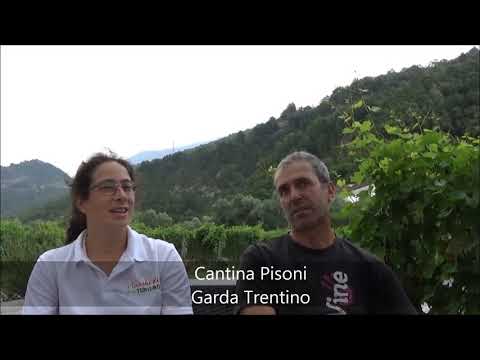 Cantina Pisoni: Azienda agricola - Trentino-Alto Adige