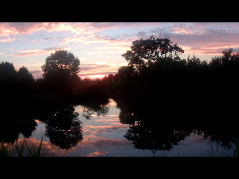 Tramonto dalla laguna di Grado dalla Valle Del Moro #followgrado #tbnet