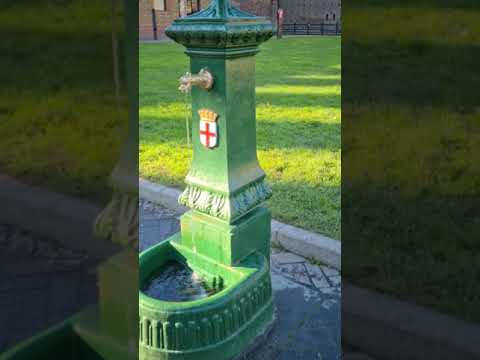 Fontanelle a Milano: vedovella o drago verde?