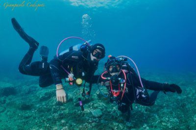 Marina diving service