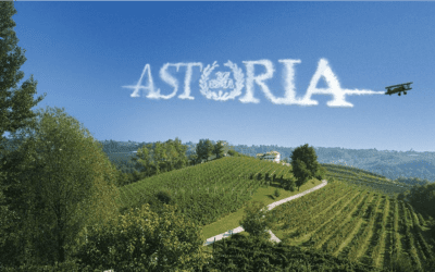 L’amore per il territorio e il vino, un’esperienza unica all’Astoria Wines