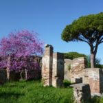 roma-dintorni-primavera-cover