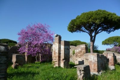 Roma e dintorni in primavera