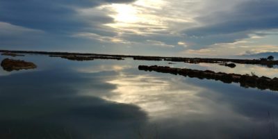Alla scoperta del Parco naturale delta dell’Ebro