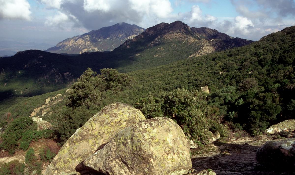 Monte Arcosu