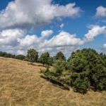 Monte Subasio