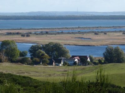 Parco Nazionale Vorpommersche Boddenlandschaft: la riserva naturale più grande del mar Baltico