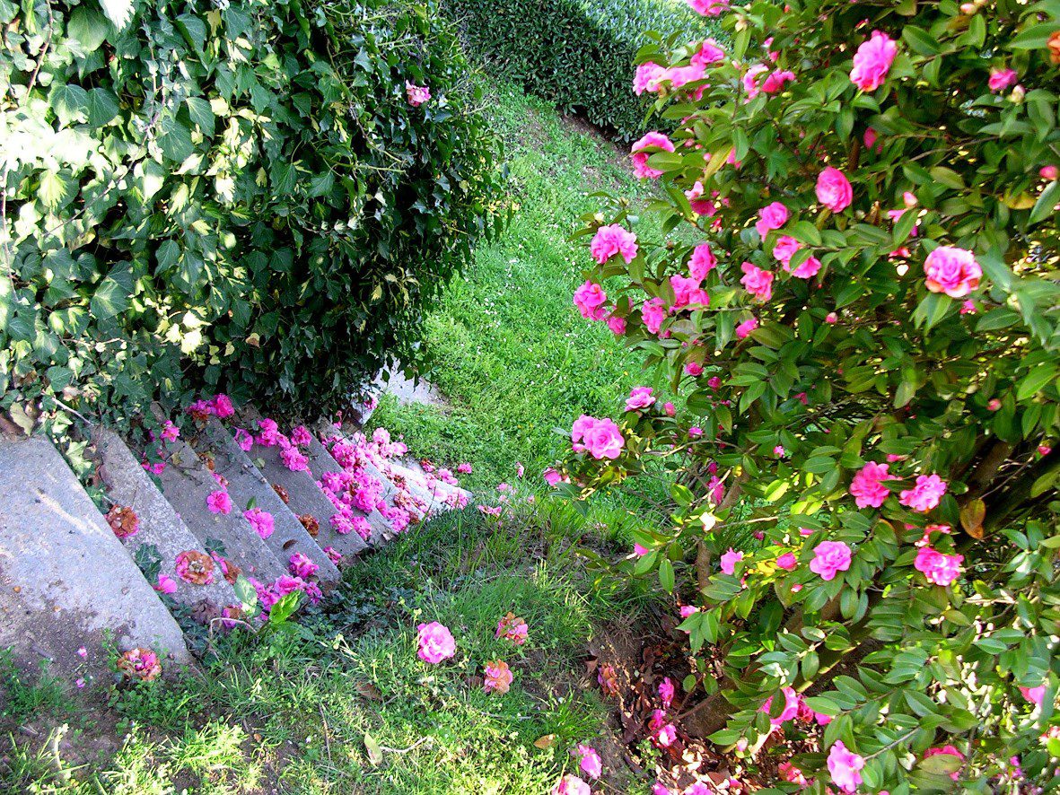 Bed and breakfast Cascina Belsito