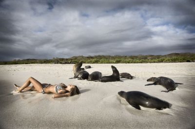 In viaggio nel paradiso terrestre: le isole Galapagos!