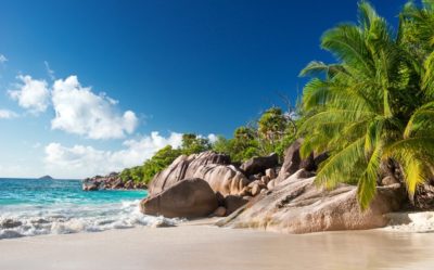 La Natura delle Seychelles in 8 pillole!