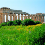 Parco Archeologico Selinunte
