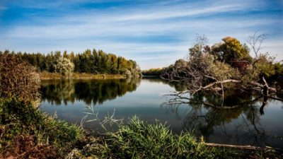 Giornata Mondiale Ambiente 2021