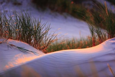 Parco Nazionale Slowinski le più grandi dune di sabbia d'Europa