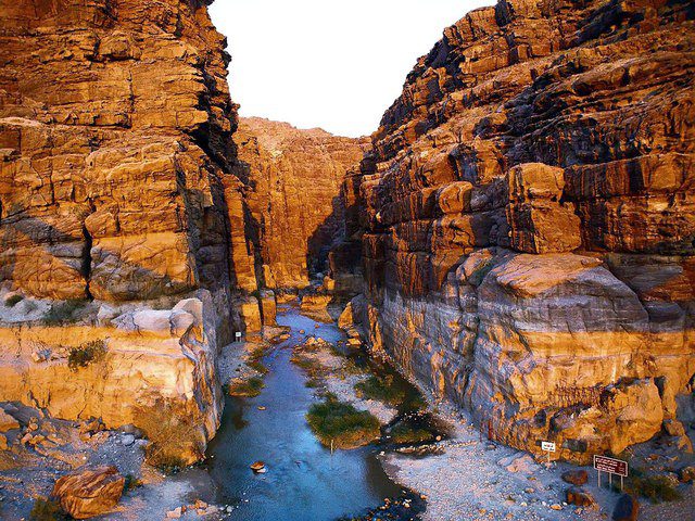 viaggio giordania natura ambienti cover