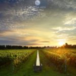 _Z5B1466-Tenuta_Pizzolato_Panoramica_1-Agosto_2013logo