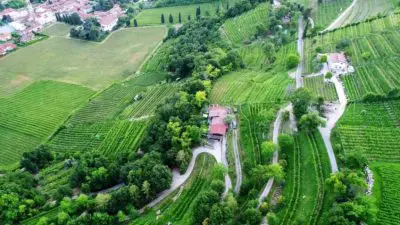 Cascina del Francés