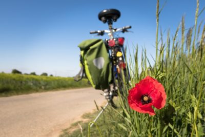 Giornata Mondiale Bicicletta 2021