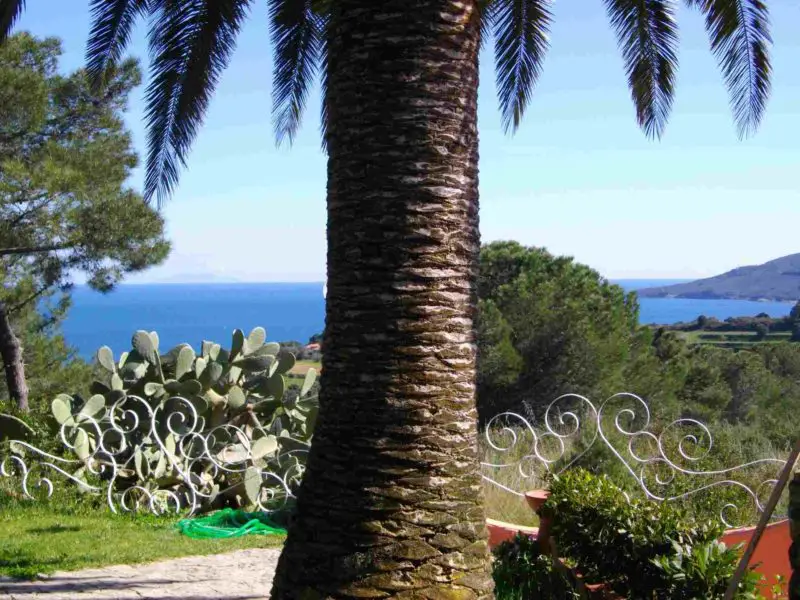 residence-gavilas