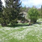 Agriturismo Fattoria il Praticino