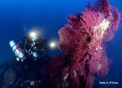 Diving Club Scuba Point