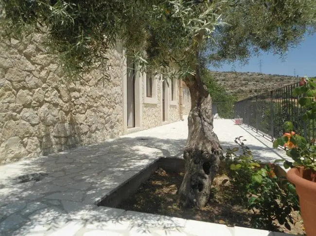 agriturismo-fattoria-del-cavaliere