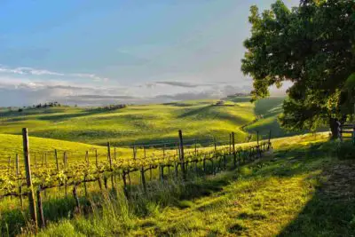 Agriturismo Fattoria Forano