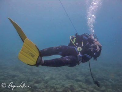 Diving Club Per Mare Per Terra