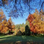 L'autunno al Parco Giardino Sigurtà