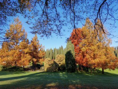 L'autunno al Parco Giardino Sigurtà