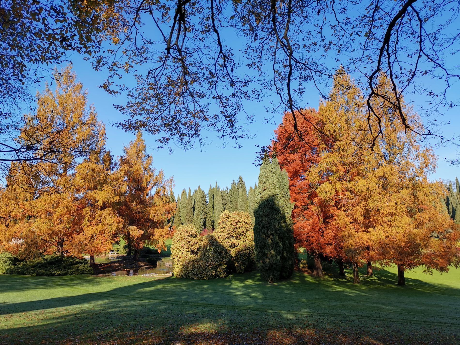 AUTUNNALE parco sigurta (2)