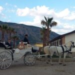 Andare a cavallo in Calabria