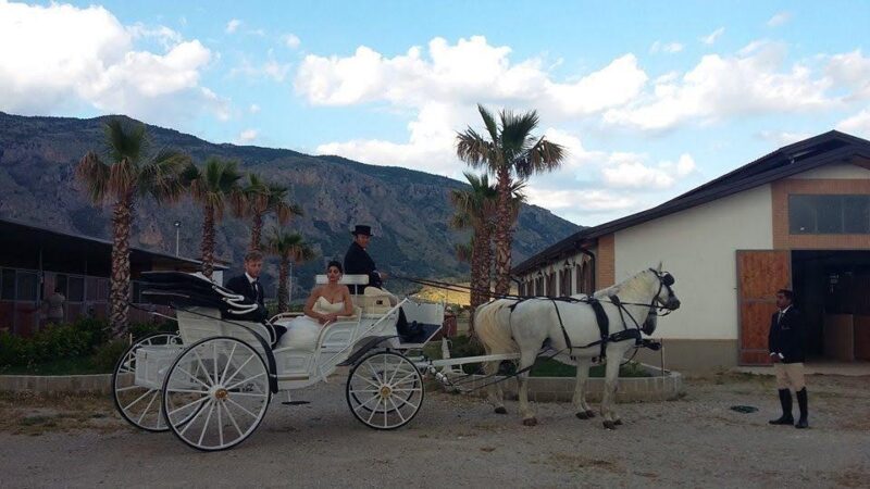 Calabria cavallo turismoacavallo piu turismo