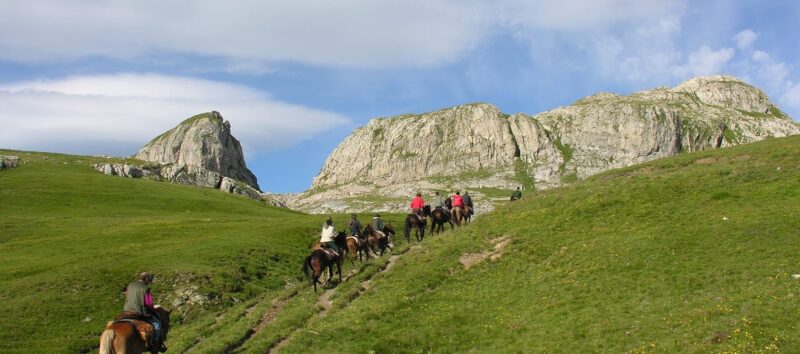 Piemonte cavallo turismoacavallo piu turismo