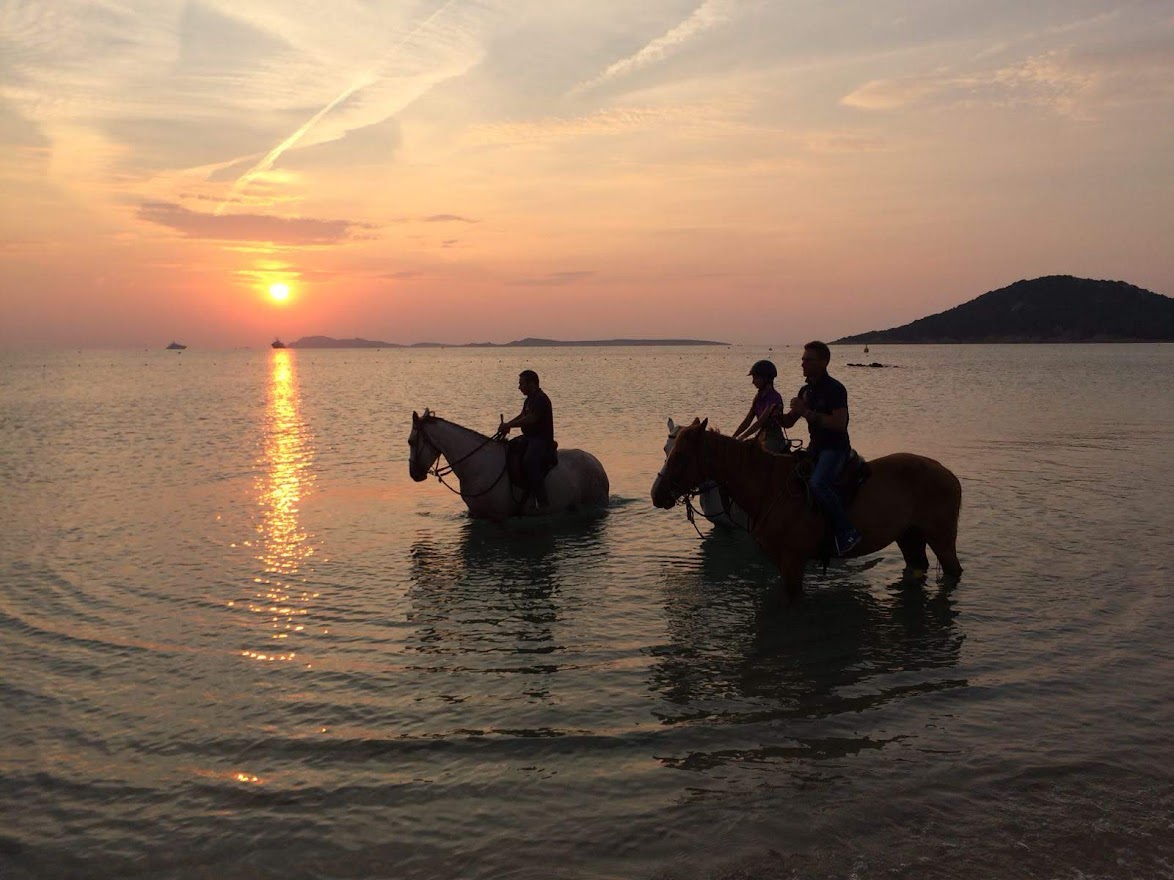 Sardegna cavall turismoacavallo piu turismo