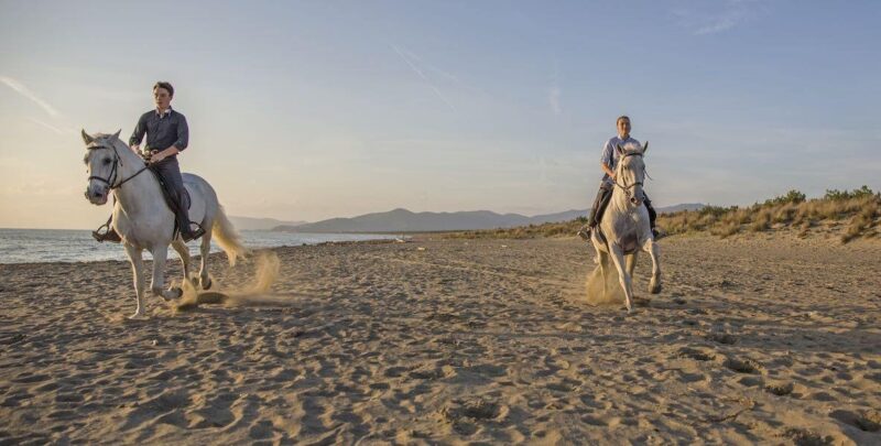 Sicilia cavallo turismoacavallo piu turismo