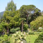 Tra i profumi e i colori del Giardino Botanico André Heller