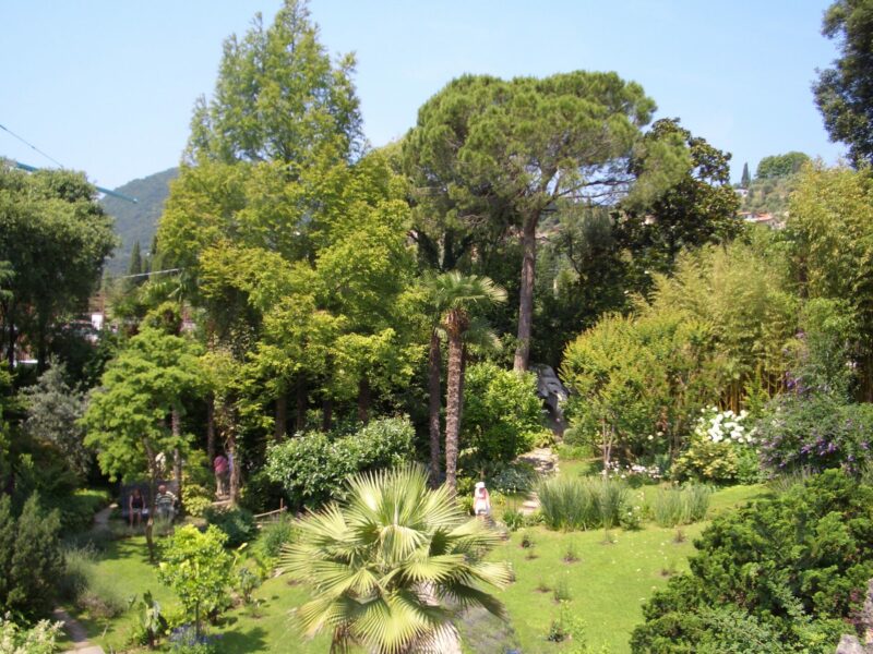 Giardino Botanico Andre Heller Gardone Riviera cover