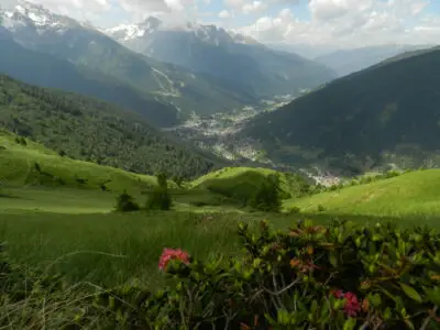 Raccolta erbe spontanee in Val Camonica