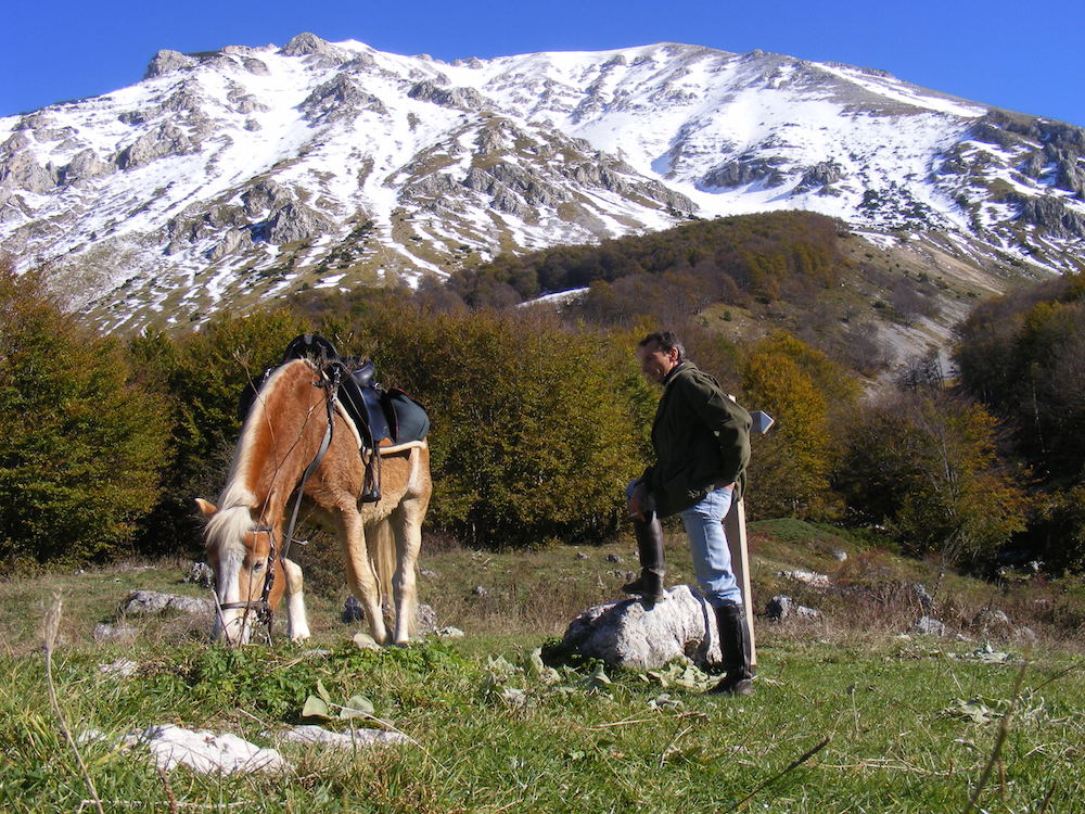 addomesticare cavallo turismoacavallo piu turismo