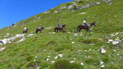 passeggiata cavallo alto garda bresciano piu turismo 5
