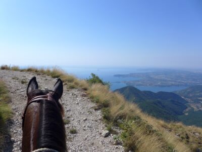 passeggiata cavallo alto garda bresciano piu turismo 9