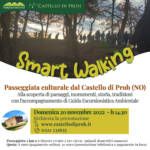 Smart Walking 20/11
