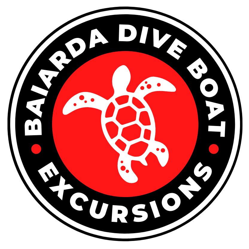 Logo - Diving Center Baiarda Excursions