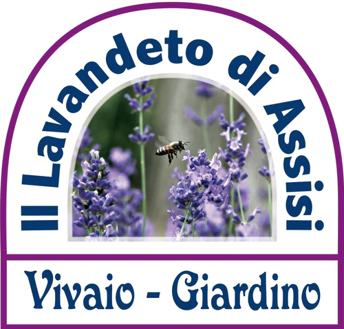 Logo - Il lavandeto di Assisi