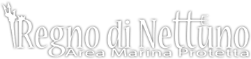 Logo - Area marina protetta Regno di Nettuno