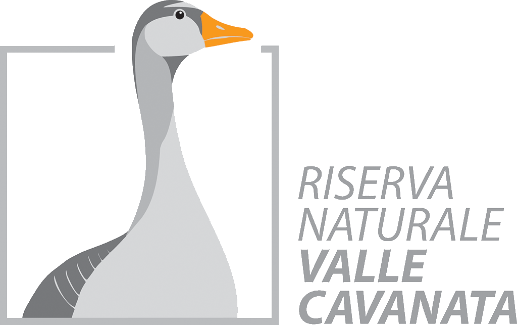 Logo - Riserva naturale regionale Valle Cavanata