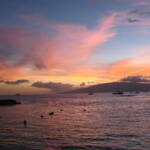 Il tuo contributo per salvare Maui Cover