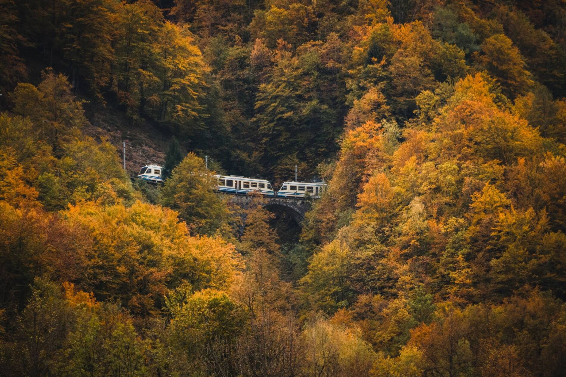 treno-del-foliage-2023