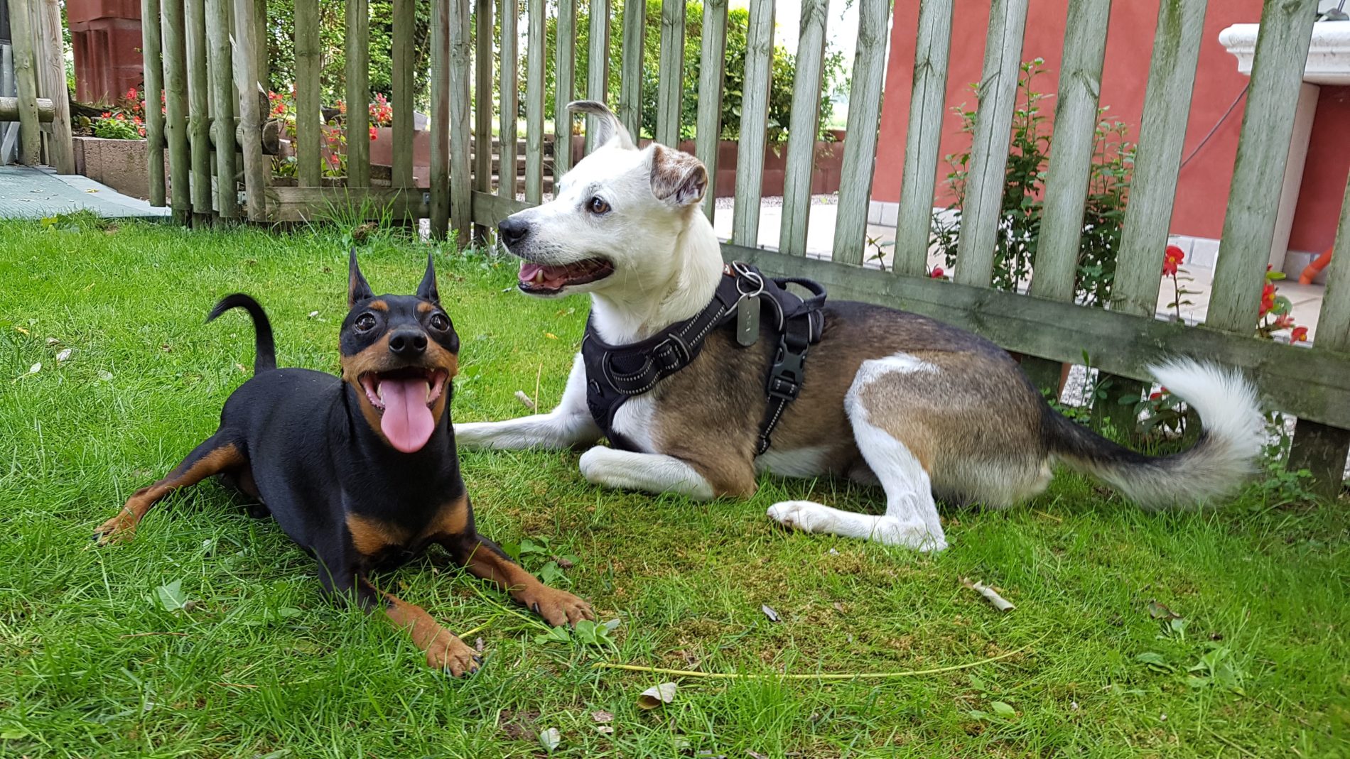 Consigli Di Tobia Archivi Pi Turismo